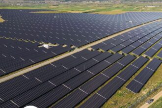 israelienii de la econergy iau credit de 31 mil euro pentru un nou parc fotovoltaic din romania 60 mw in dobrogea 69b7da8fe4e7c