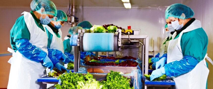 peste 120 de milioane de lei din salata eisberg liderul pietei de salate gata de consum creste si in 2025 69b96228459b6