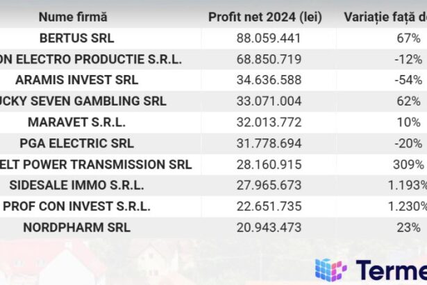 topul companiilor din maramures de la italsofa unio si moeller la aramis universal alloy si eaton 69bd51c4abba1