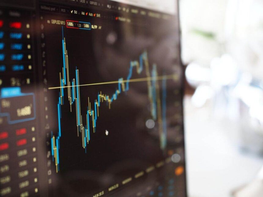 aga lion capital a respins cererea blue capital privind distribuirea de dividende 69f20f6070362