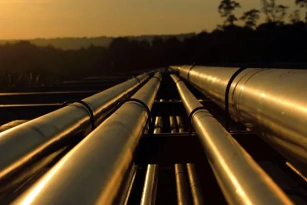 directorul totalenergies avertizeaza ca europa s ar putea confrunta cu o penurie de carburanti daca blocajul dureaza inca 2 3 luni 69ef6e0905757