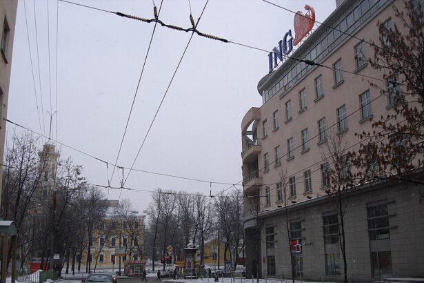 moscova blocheaza vanzare subsidiarei din rusia a grupului olandez ing 69ce37b029542