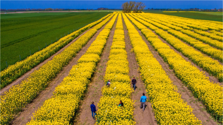 video tensiunile dintre sua si iran agita pietele agricole cezar gheorghe expert romania nu risca penurie alimentara 69db798c5d5d9