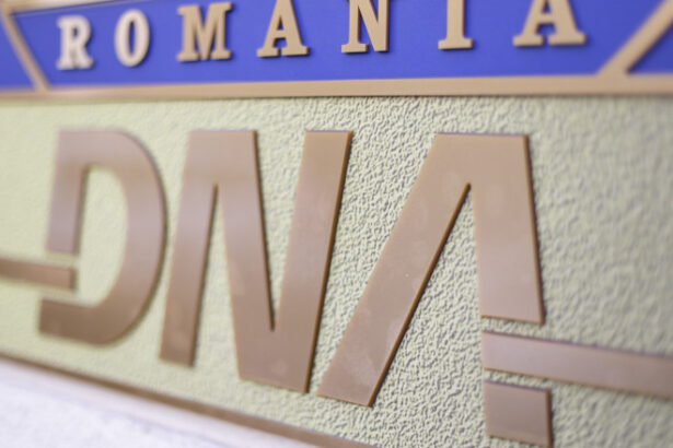 fost secretar de stat al psd din ministerul agriculturii urmarit penal de dna ce acuza procurorii 69fde188aad68