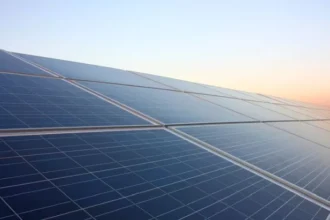fonduri in valoare de 265 mil euro pentru investitii in energie regenerabila in agricultura si industria alimentara 6a2879c2b1938